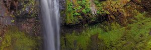 Waterfall in Gifford Pinchot National Forest