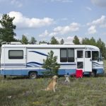 Camper with Dog Sitting in Front